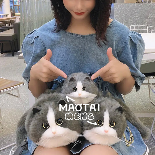 The Story of me and 13 cats