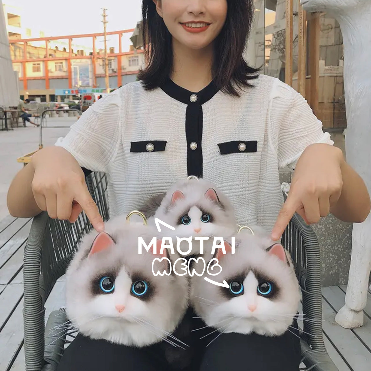 Ragdoll Cat™